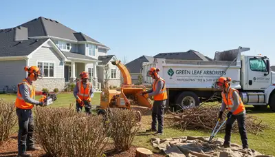 Professional shrub removal crew clearing overgrown bushes in Palm Harbor, FL yard