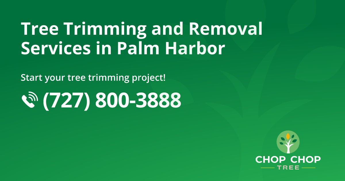 Tree Removal & Tree Services in Palm Harbor Chop Chop
